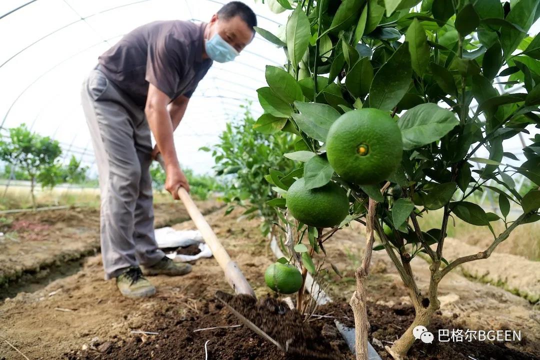 傳統(tǒng)肥料急需升級，新型功能性肥料市場前景廣闊 ！